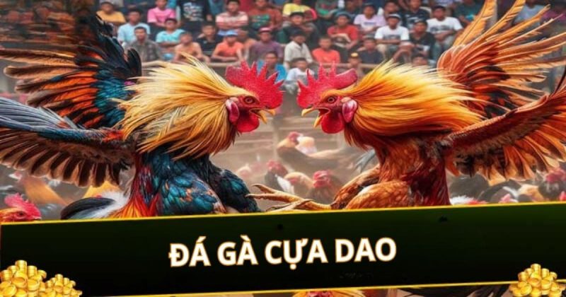 Đá Gà Cựa Dao